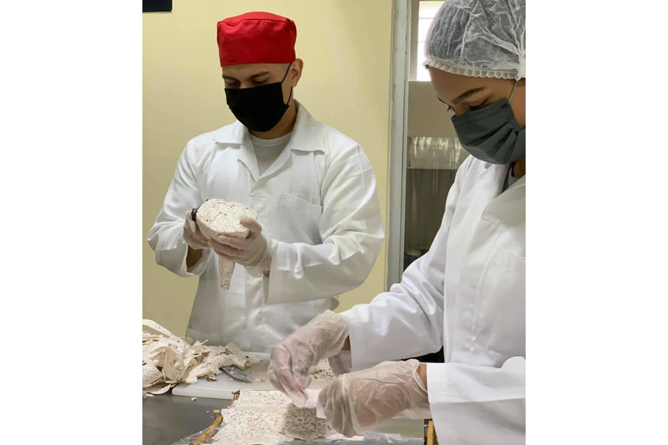 Actividades de investigación relacionadas a la biotecnología e innovación alimentaria