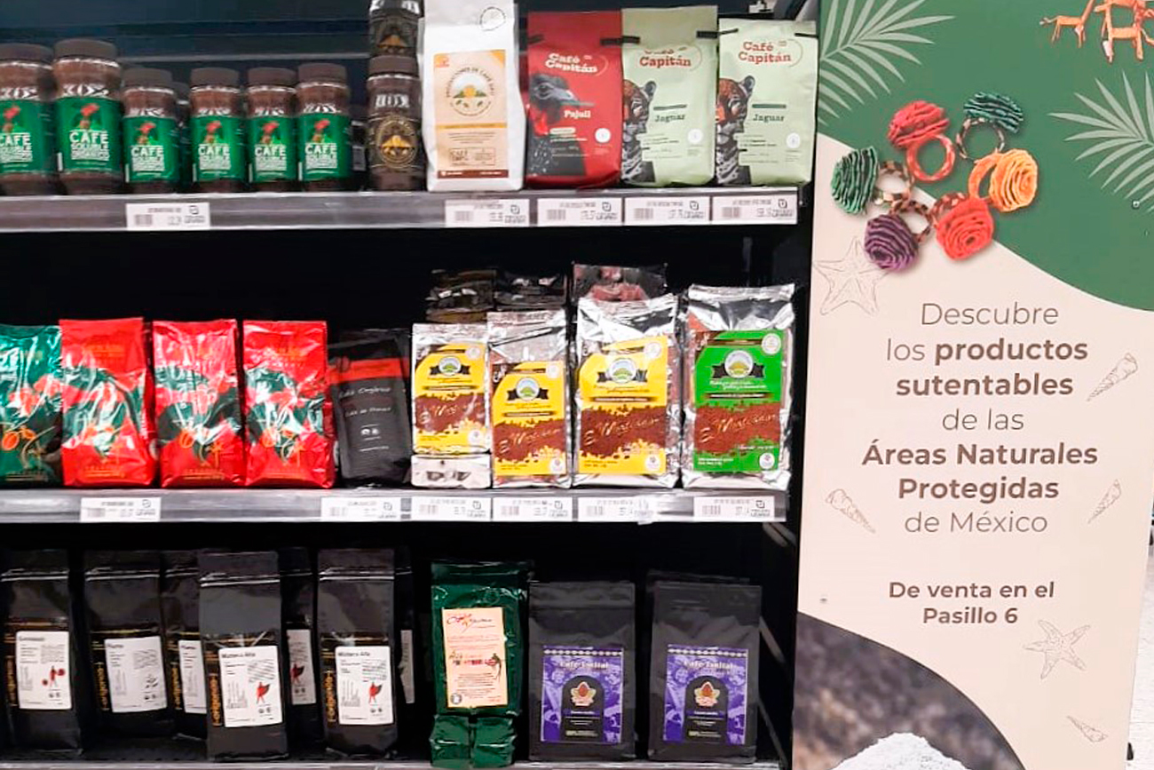 Han logrado exportar su café a Japón, Holanda y Estados Unidos. 