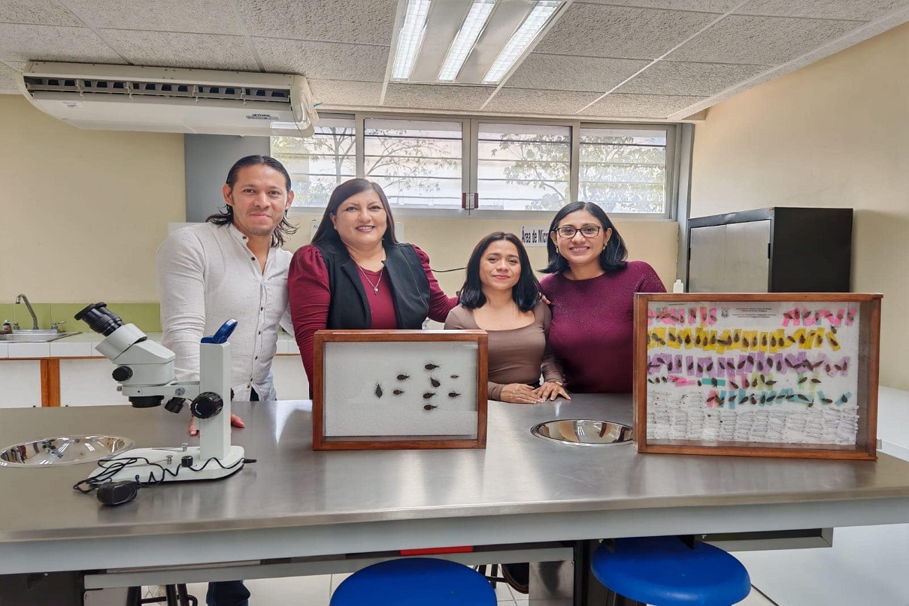 se desarrollará el proyecto titulado “Representaciones sociales sobre las enfermedades transmitidas por vectores y su impacto en la salud comunitaria de pueblos zoques y mayas de Chiapas, México”.