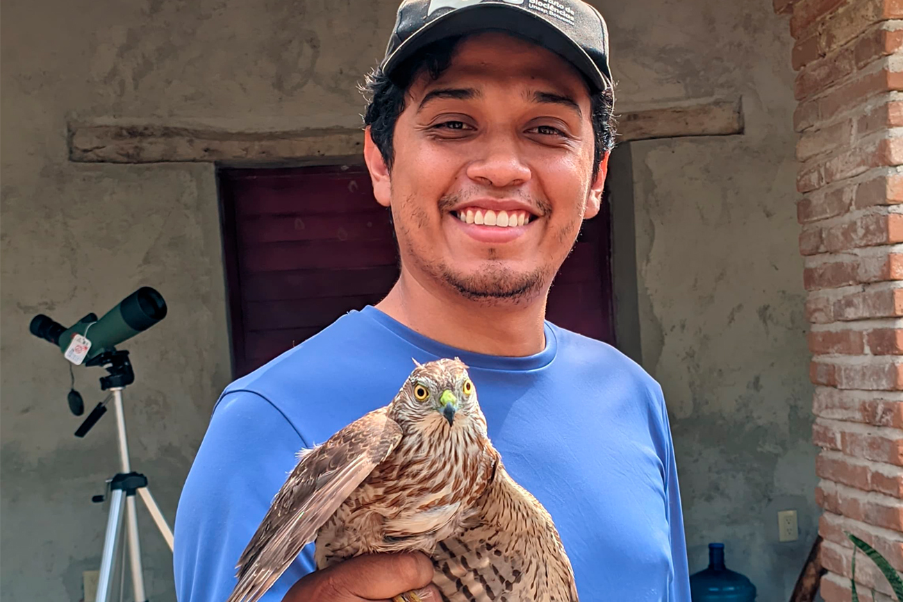 En Chiapas, se tiene registro de alrededor de 700 especies de aves, muchas de ellas nativas y endémicas.