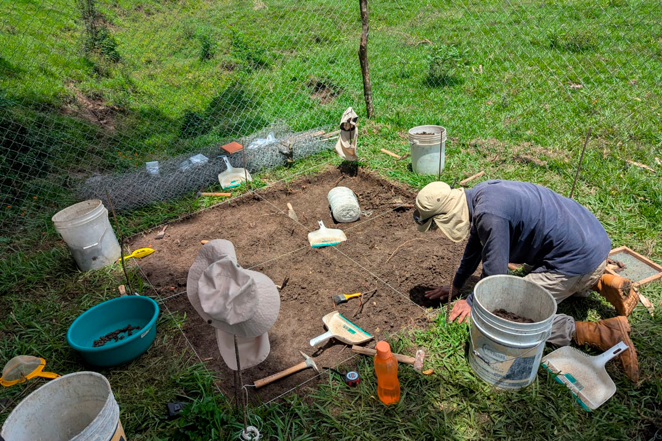 La actividad se desarrolló dentro de la zona arqueológica de Palenque.