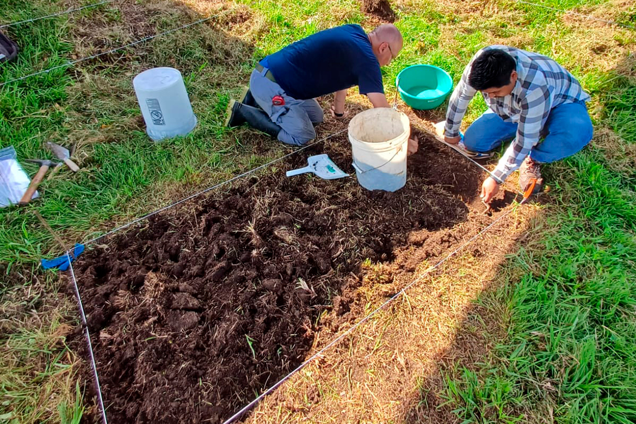 El proyecto tiene como objetivo identificar especies animales acuáticas encontradas en excavaciones arqueológicas dentro de la antigua urbe.