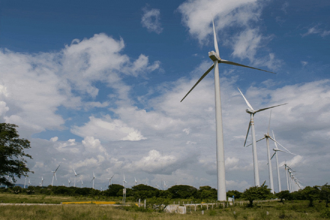 Necesario regular la producción de energías limpias.