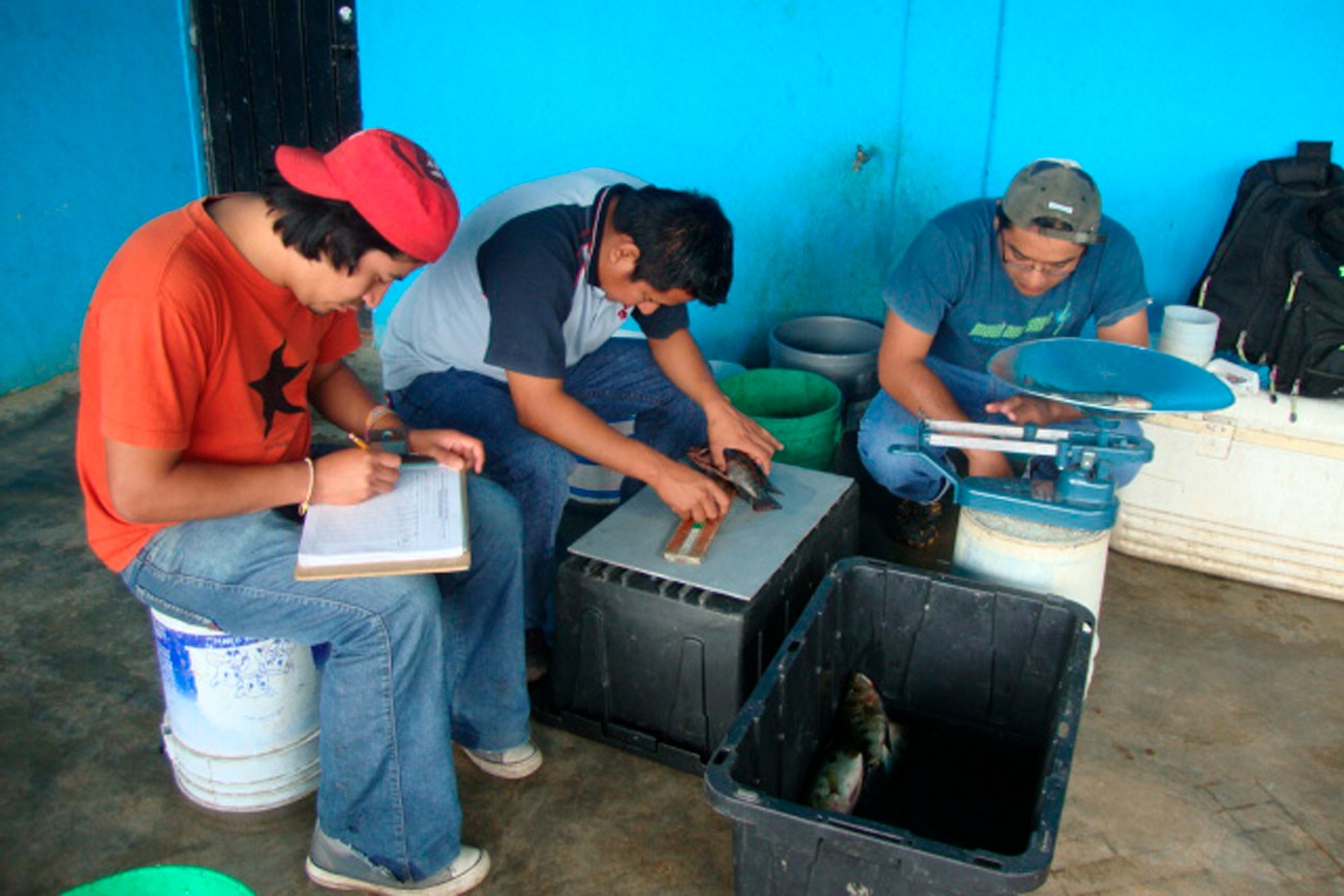 La recolección de datos fue posible gracias a la colaboración activa de los pescadores.