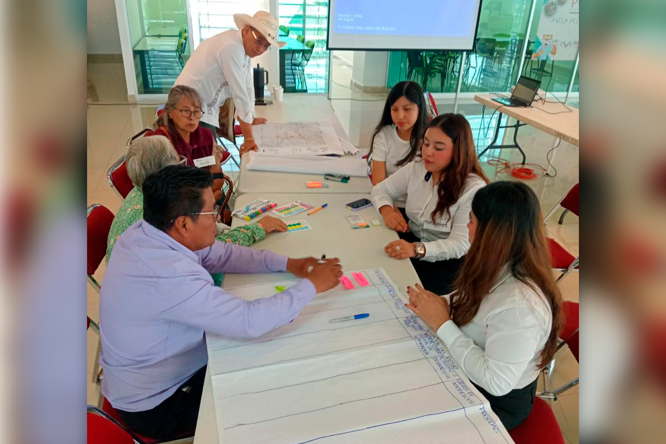  El análisis se realizó mediante la observación directa y talleres participativos con los pobladores.