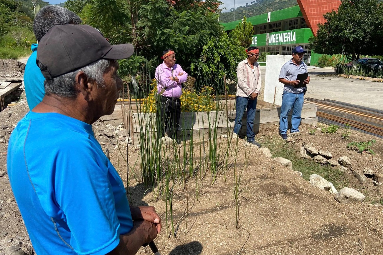 documentan plantas tradicionales