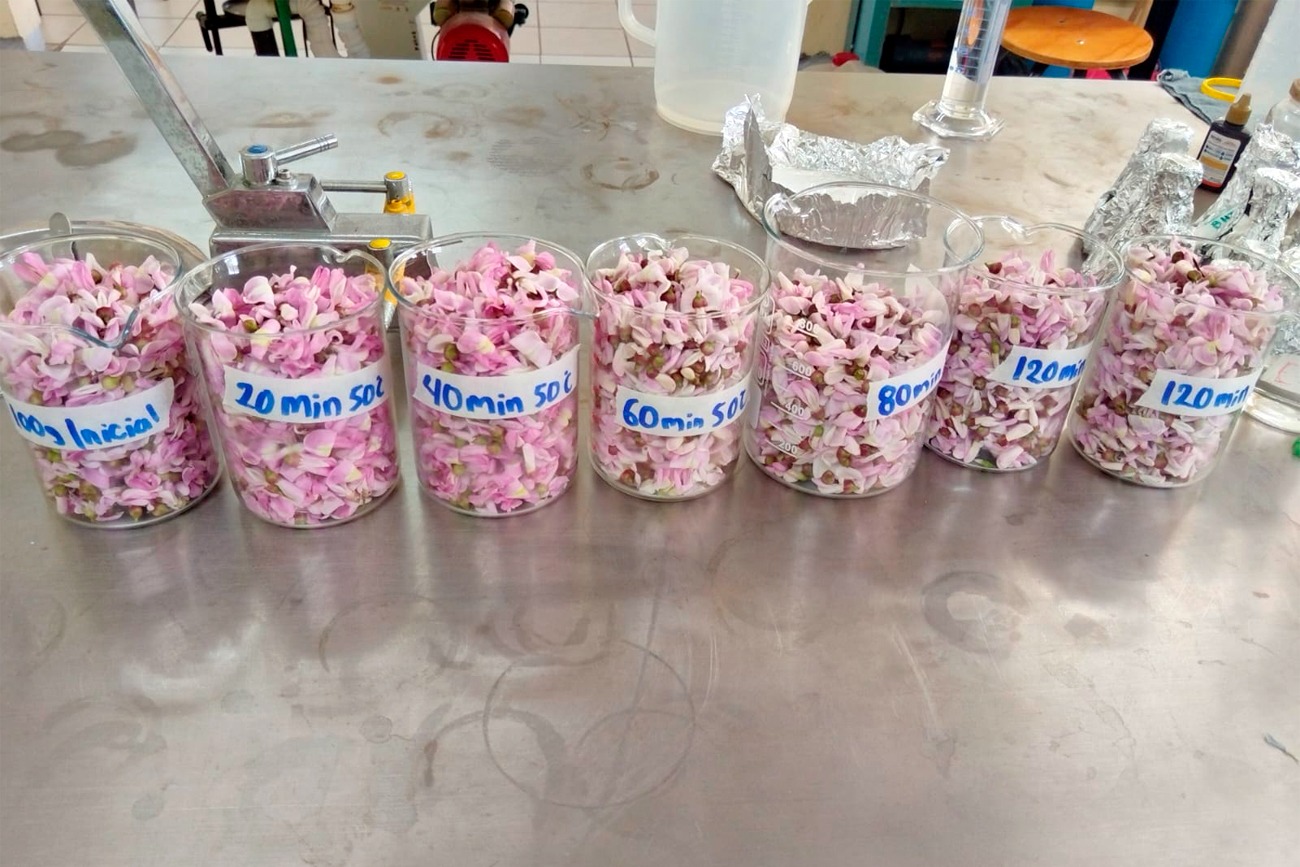  aprovechamiento alimentario