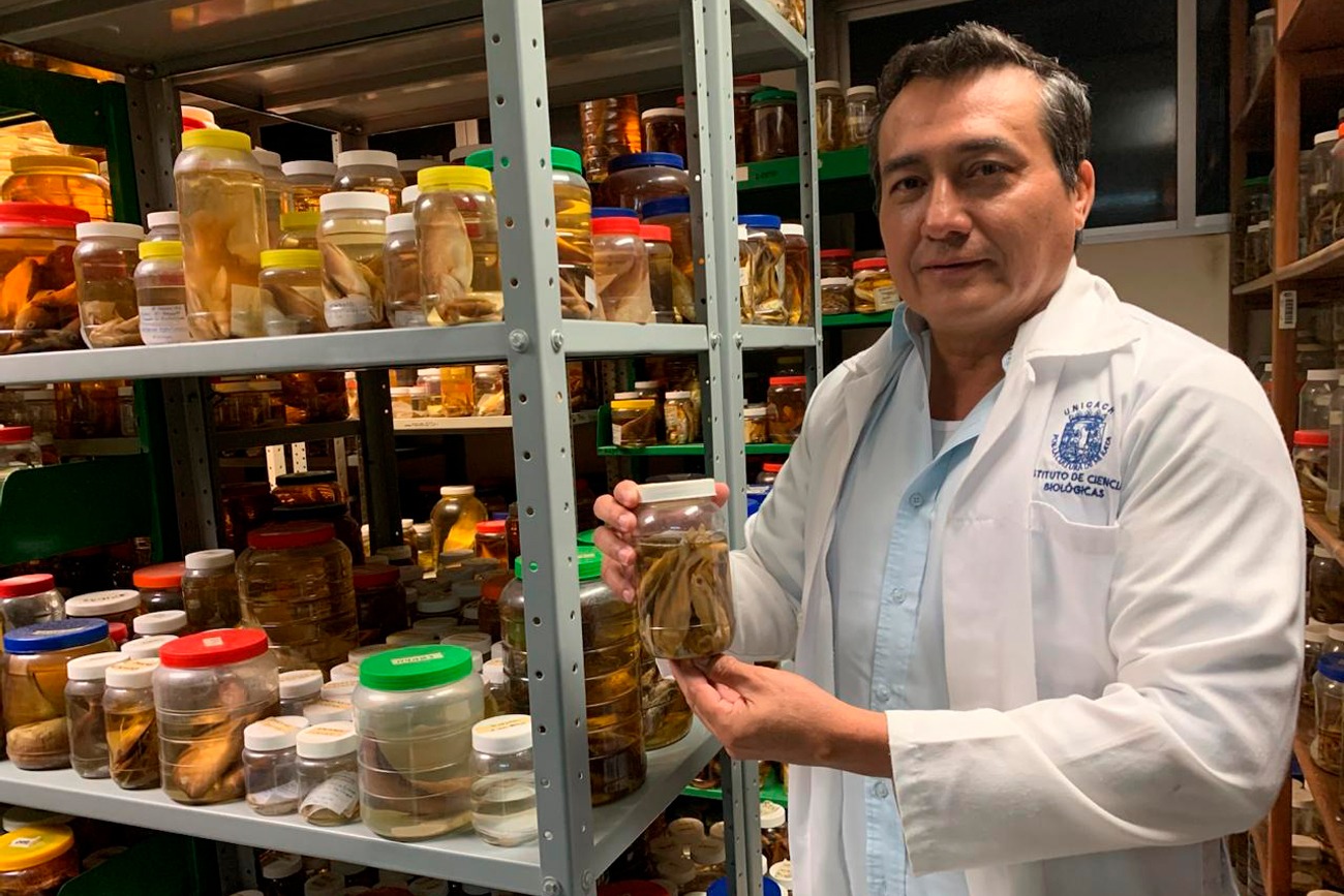 Documenta UNICACH biodiversidad ictiológica del río Sabinal