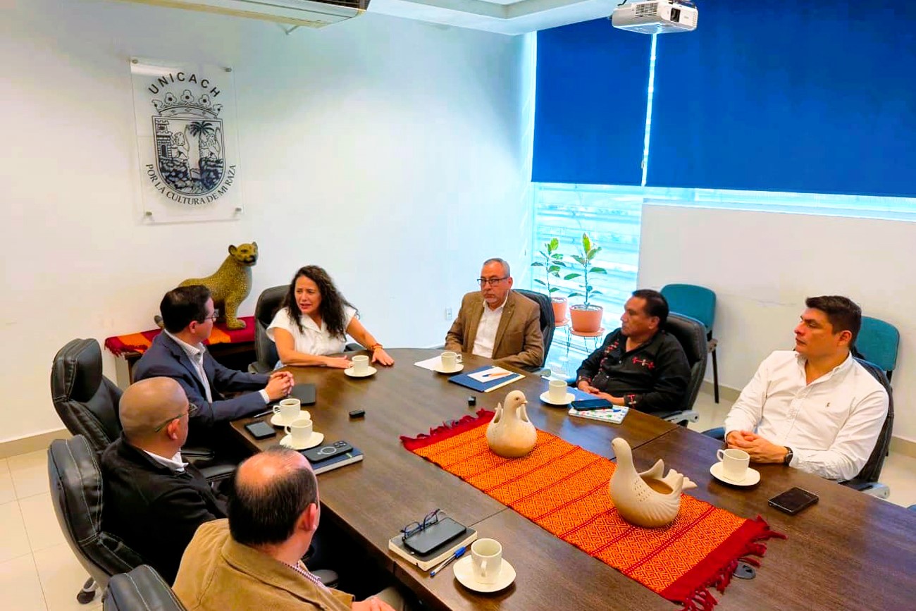 Universidad Autónoma de Ciencias y Artes de Chiapas (UNICACH)