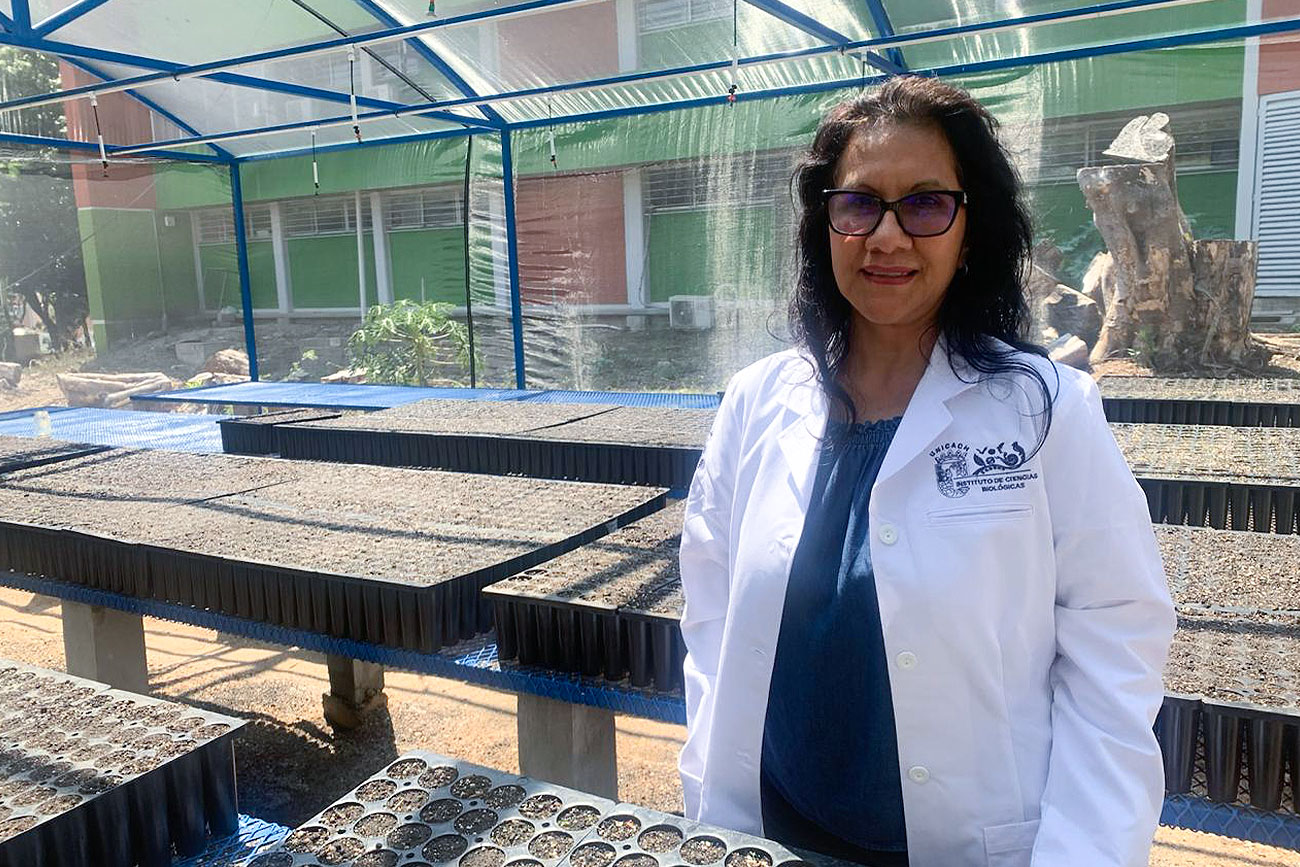 UNICACH y Operación Bendición reforestarán áreas de Berriozábal, Jiquip