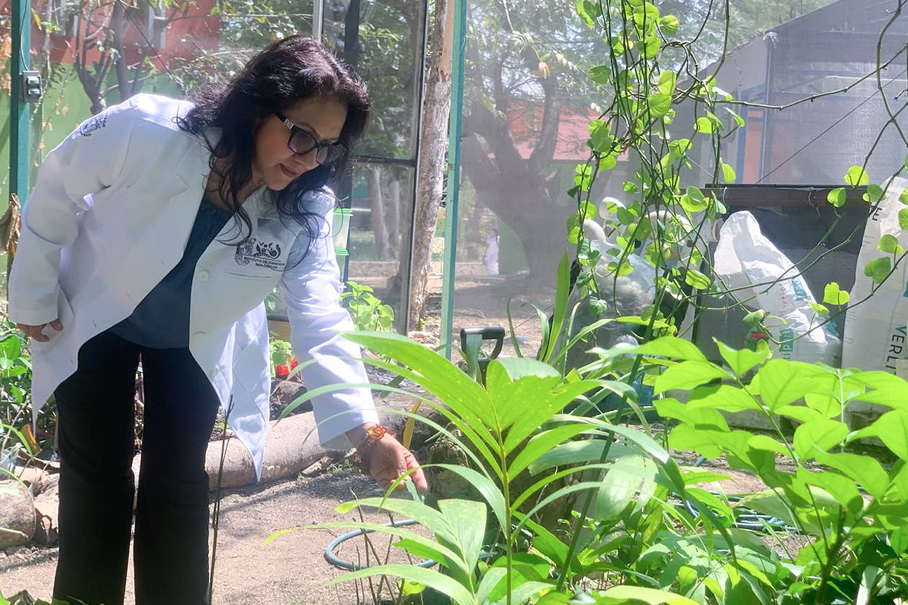 UNICACH y Operación Bendición reforestarán áreas de Berriozábal, Jiquip