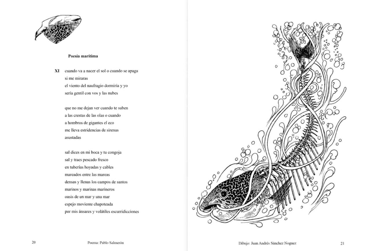 Trazar la vida, tejer palabras: un encuentro entre poesía y dibujo en la UNICACH